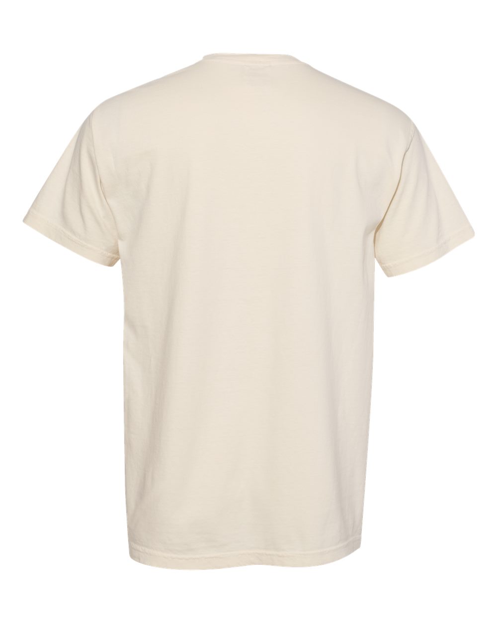Comfort Colors 1717